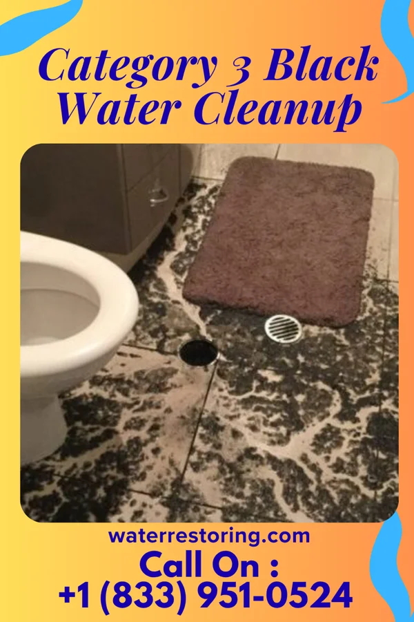 Category 3 Black Water Cleanup in Ridgecrest, LA