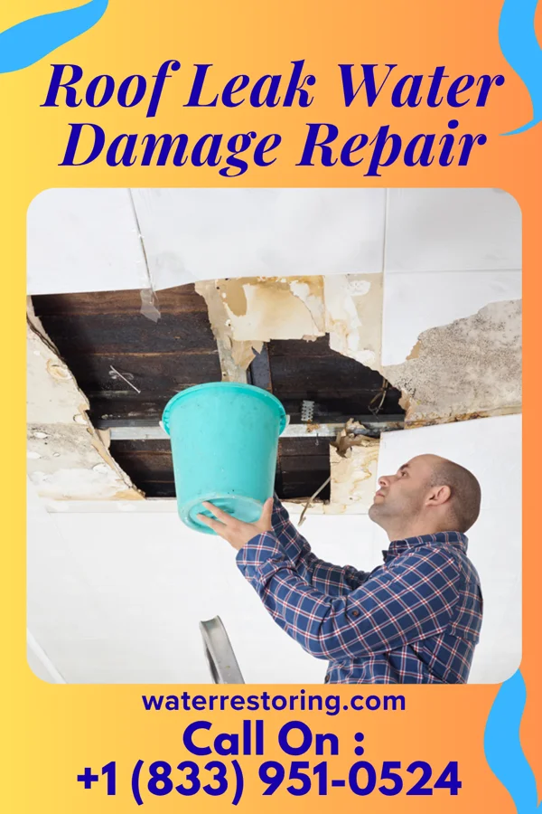 Roof Leak Water Damage Repair in Ridgecrest, LA